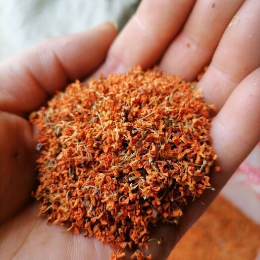 南召县桂花瓣  干桂花八月采摘