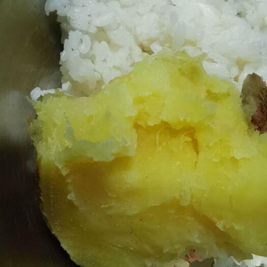 榆林红薯  正宗沙地蜜薯 又沙又甜
