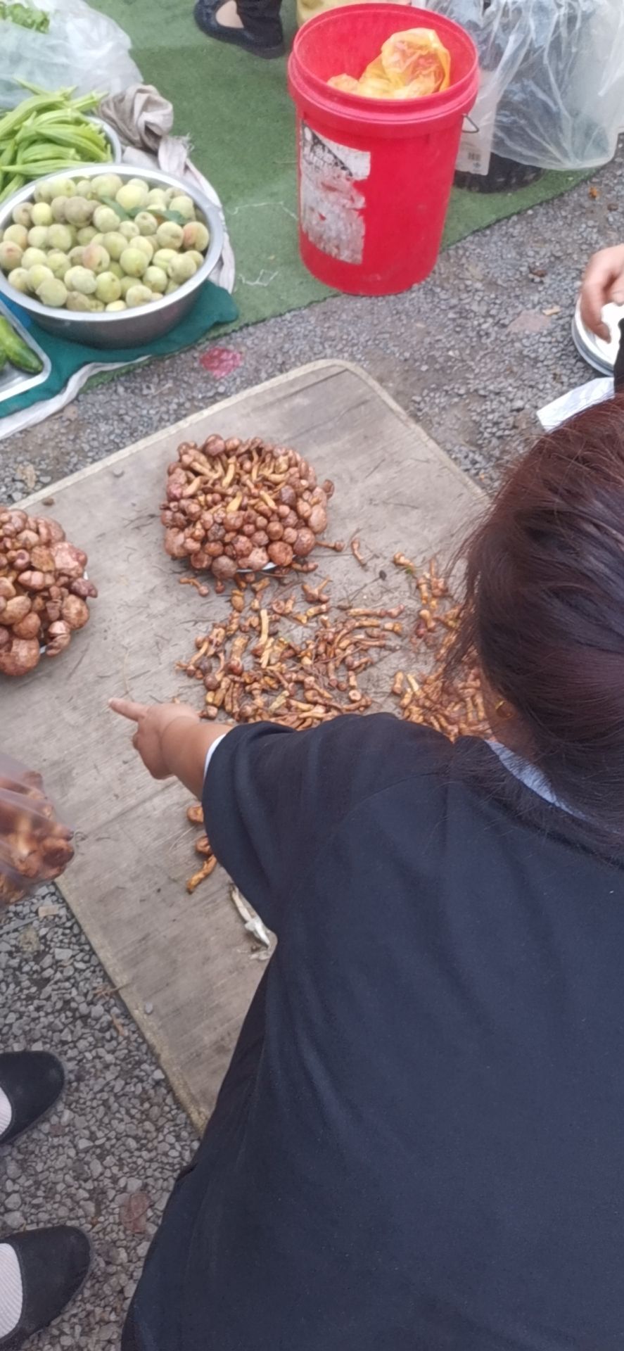 蘑菇  东北纯野生鲜红蘑，高品质，最好是辽宁地区，朝阳人实在