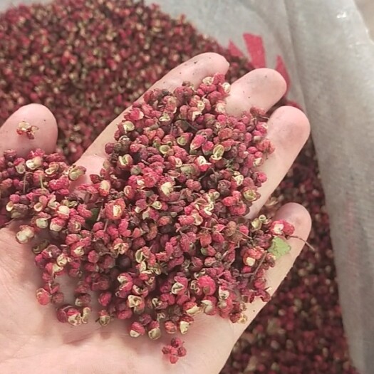 澄城县红花椒  陕西精品特级大红袍花椒