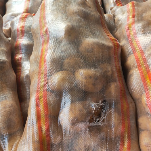 黄心土豆 精挑土豆