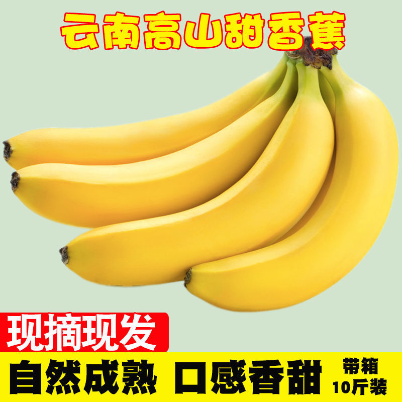 【现摘现发】云南香蕉整箱当季水果新鲜包邮10斤自然熟