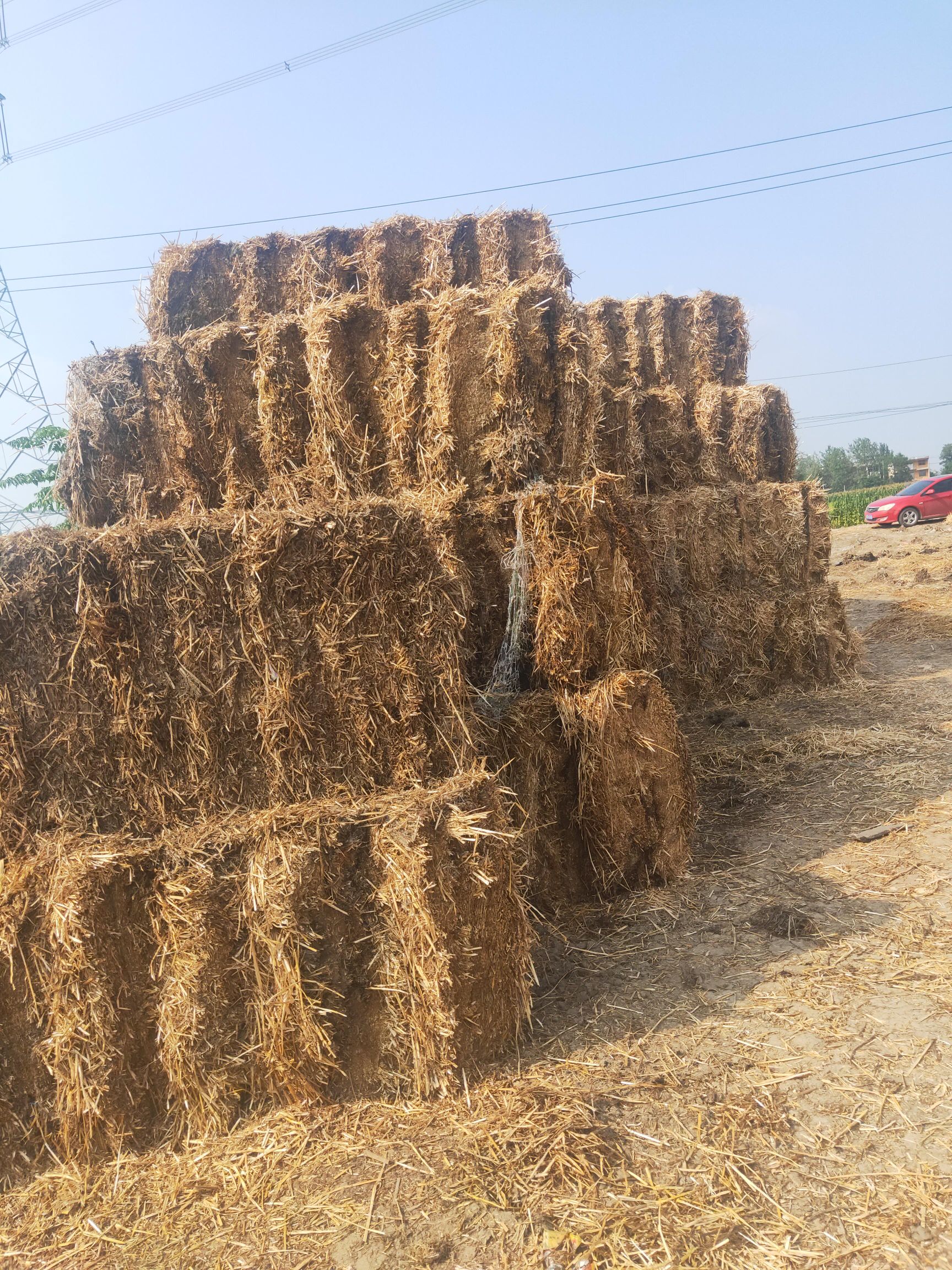 秸秆压块  大量提供各类农作物秸秆
帮农牌微生物有机肥