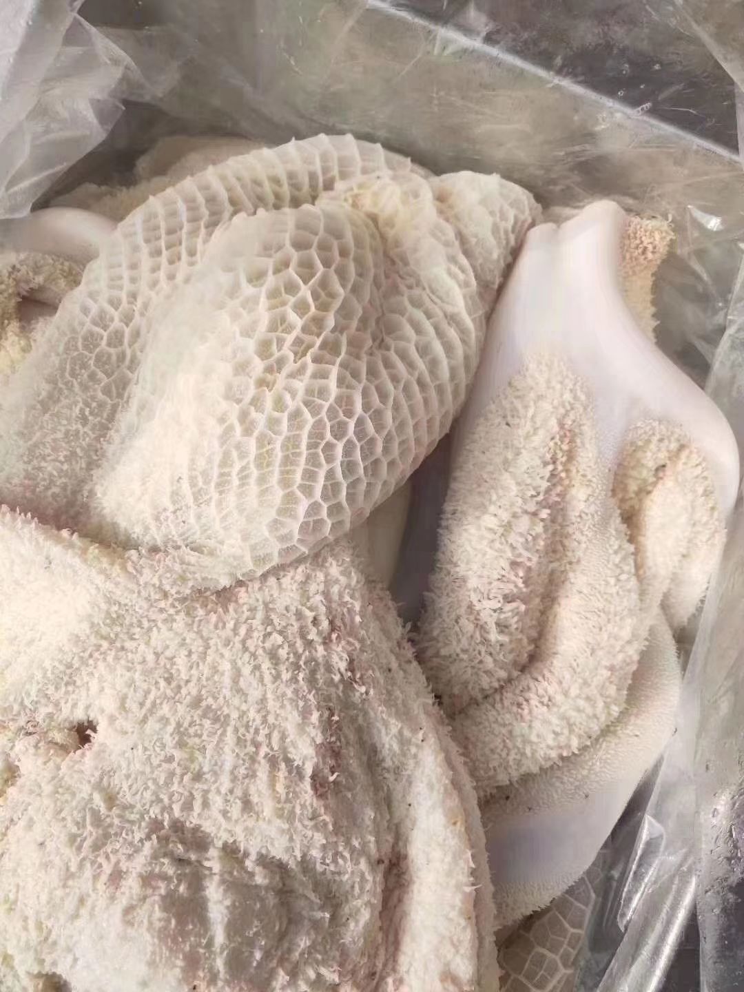 牛肚，鲜牛肚，精修无油，无碱发