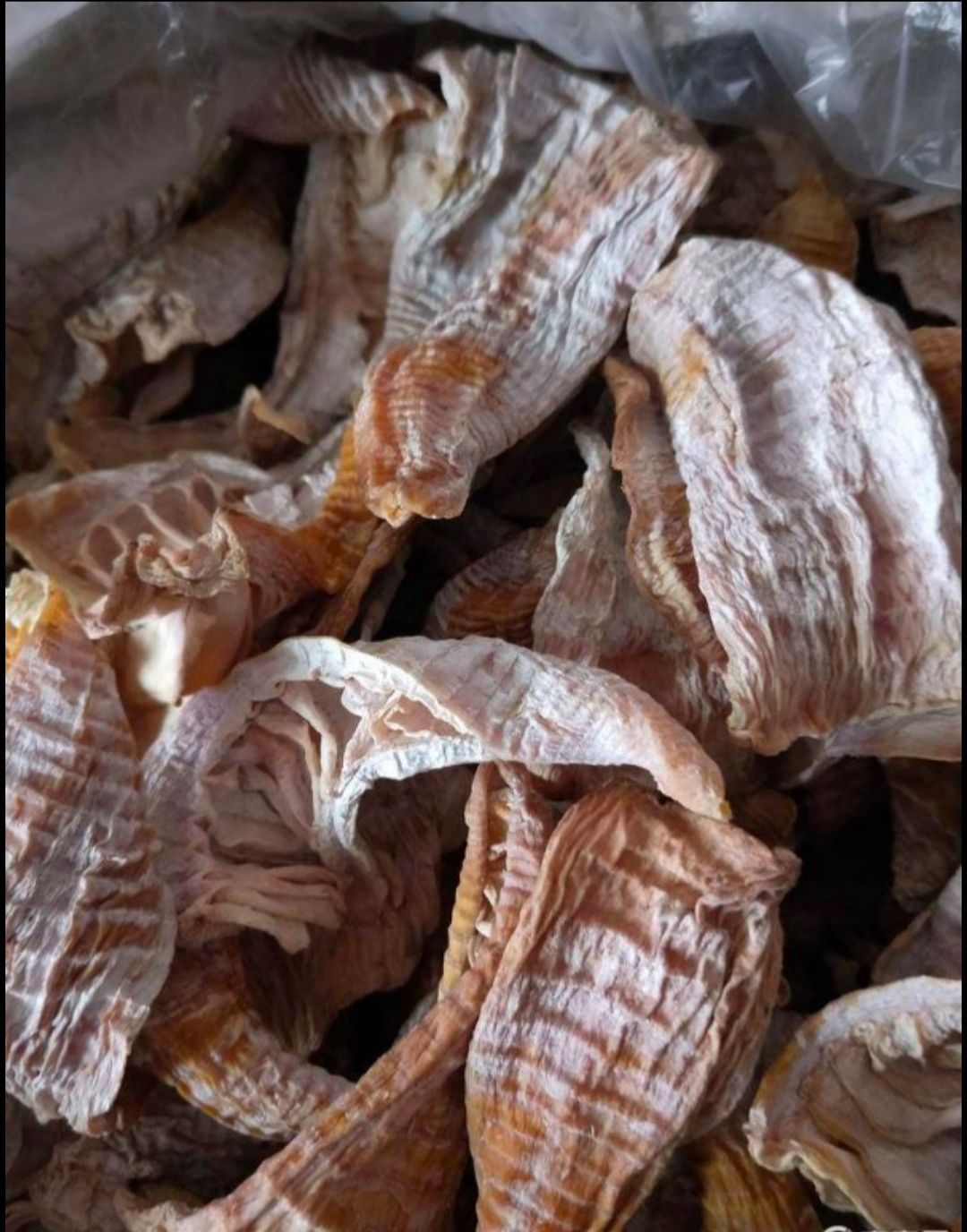 楠竹笋干 嫩度颜色都很好