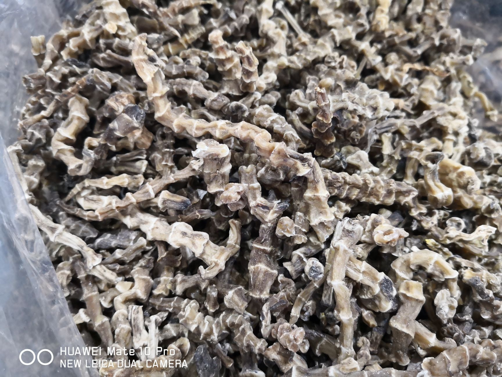 地参  虫草参 泡酒煲汤 药食同源