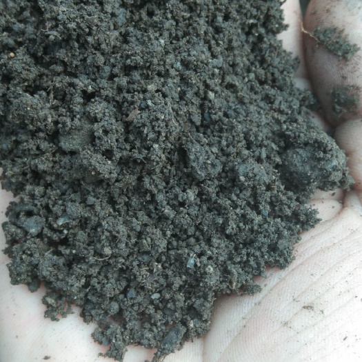 怀远县微生物有机肥  蚯蚓粪有机肥好用还不贵，天然无公害，农用理想有机肥