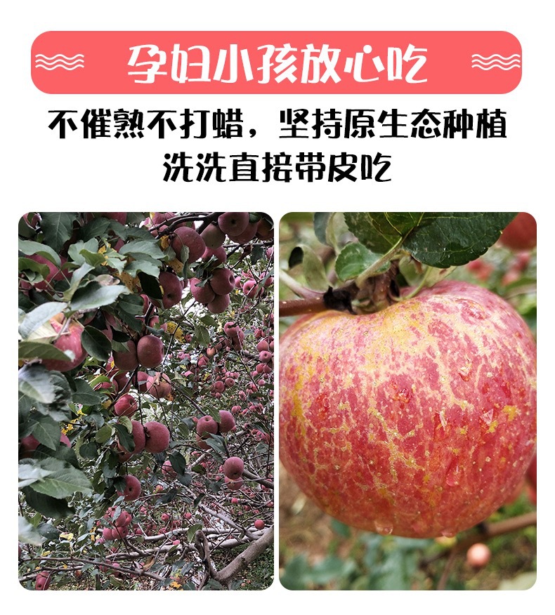 云南昭通丑苹果水果新鲜红富士非大凉山盐源嘎啦果阿克苏糖心苹果