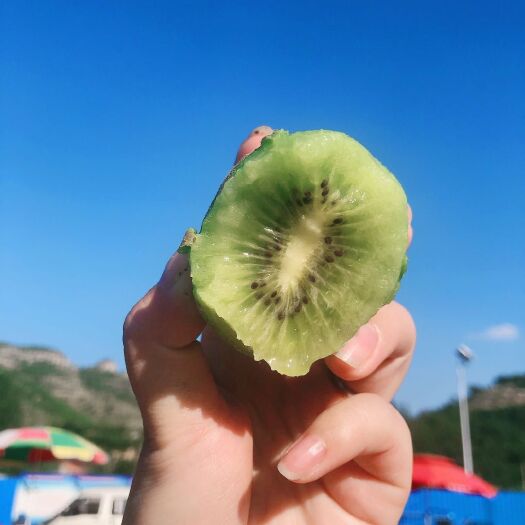 淄博山东博山源泉猕猴桃，一件代发，顺丰包邮，精品大果绿心猕猴桃
