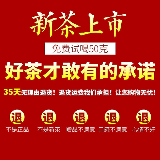 青岛2020新茶 碧螺春茶叶绿茶明前洞庭湖碧螺春春茶醇香型250