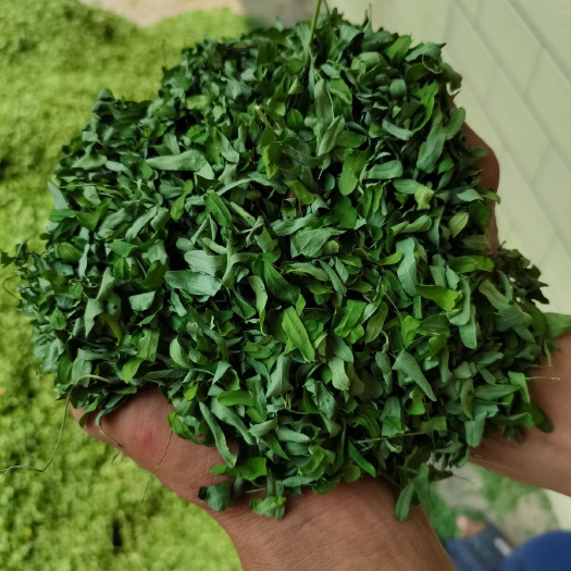 容县鸡骨草  产地直销，干货