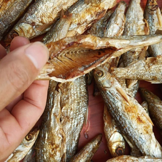 天峨县碳烤 油炸 水产小鱼干