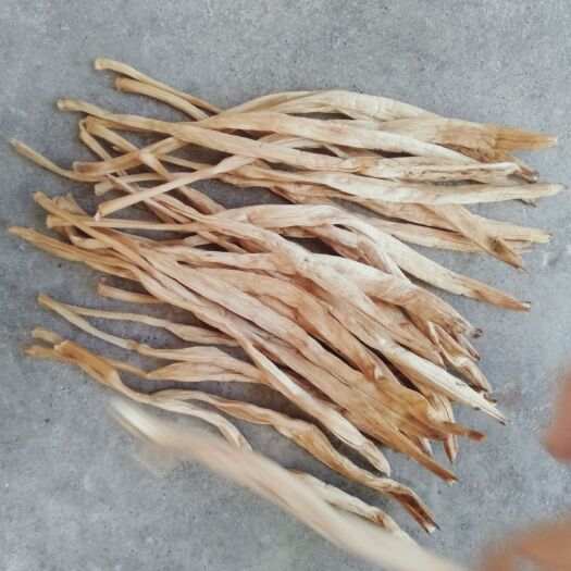 大荔县大荔黄花菜 长期供应精品开花菜