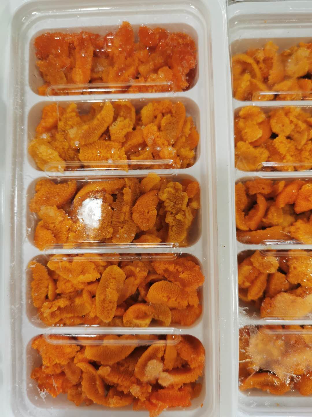  海胆肉，贝壳海胆，