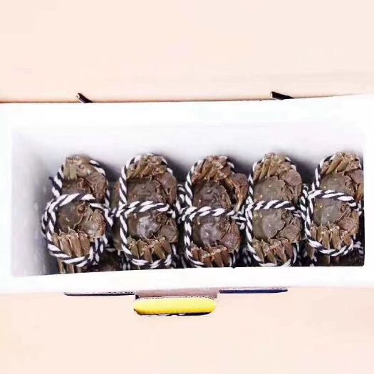 扬州兴化大闸蟹  蟹塘直供大闸蟹，