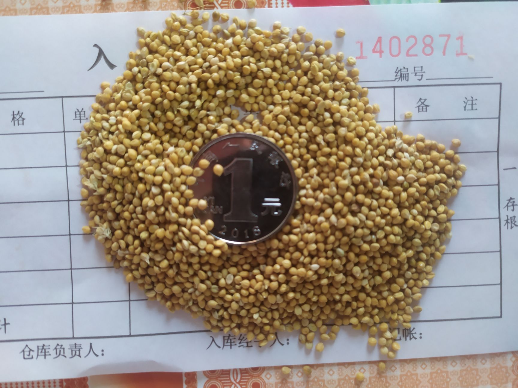 吨谷  酿酒酿醋用的谷子