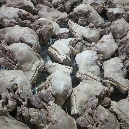 泗阳县羊肉类 羊肉