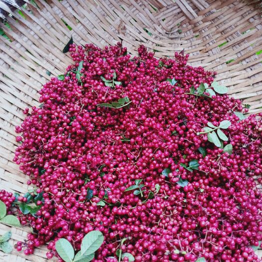 山东花椒 特级 干花椒 