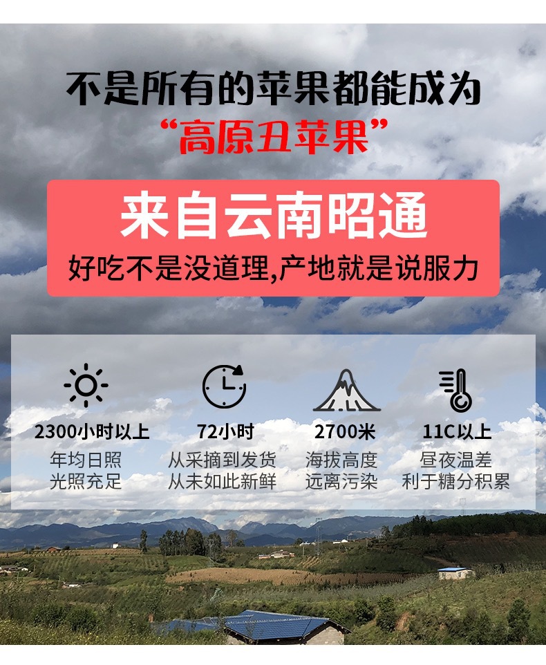 云南昭通丑苹果水果新鲜红富士非大凉山盐源嘎啦果阿克苏糖心苹果