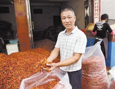 长汀县 福建长汀小米椒，高辣，香度好颜色红艳。