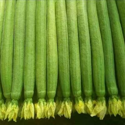 寿光市寿光鲜花丝瓜