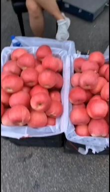 瓦房店市嘎啦苹果 嘎啦美莎大量上市，货好便宜。
