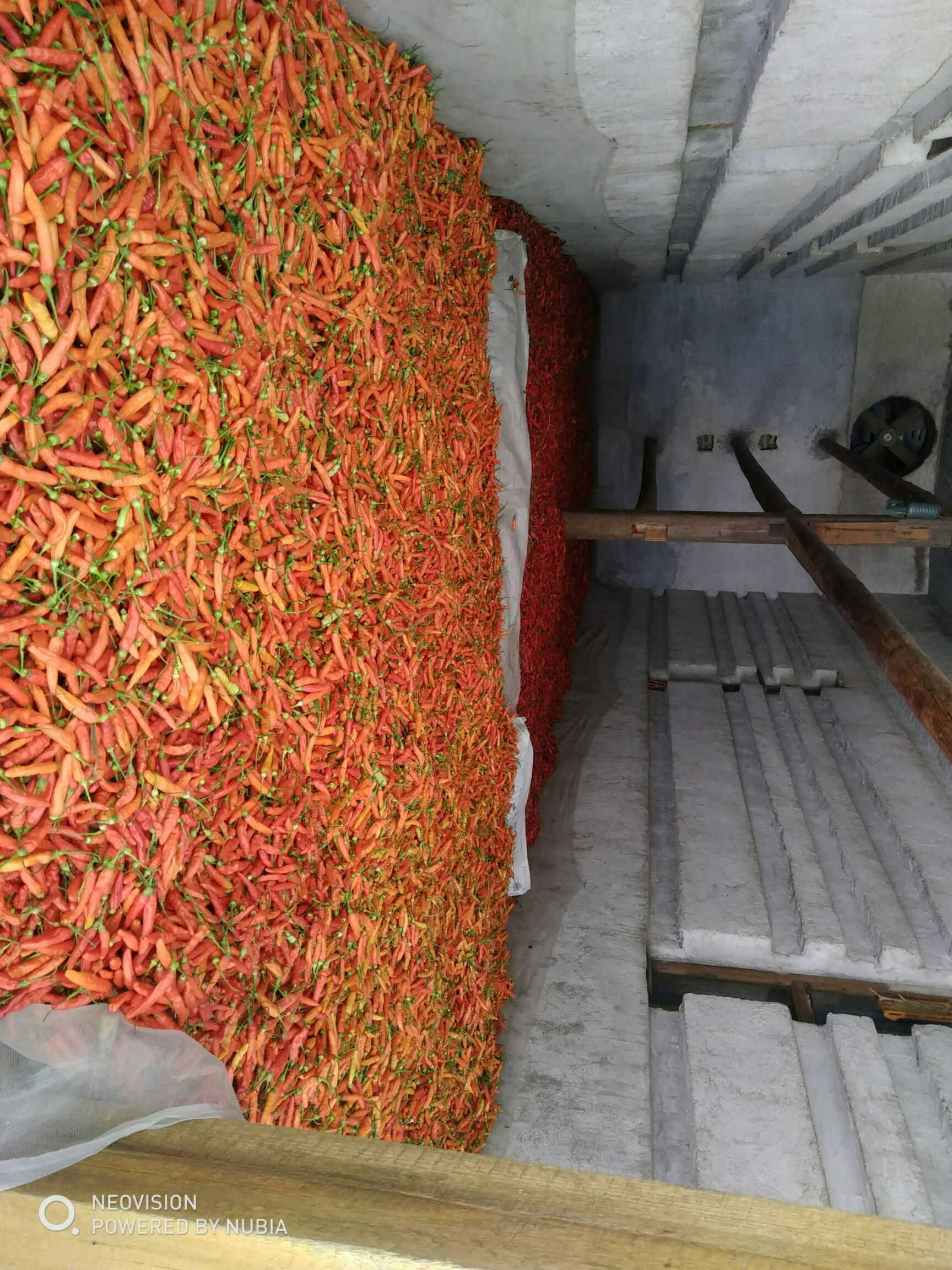小米椒干辣椒 朝天椒干辣椒，福建辣椒王，。，