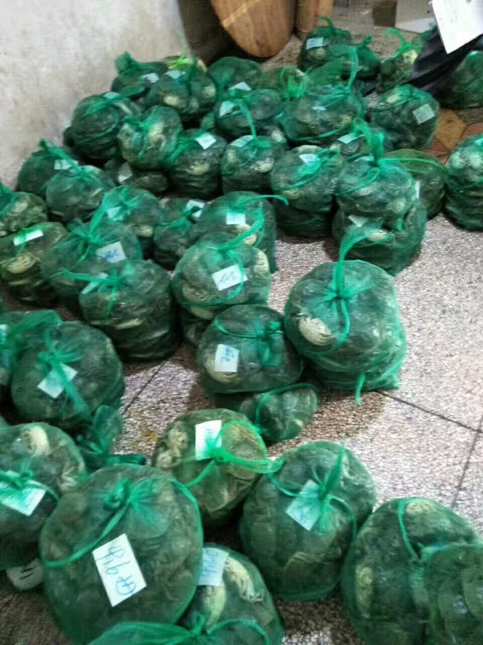 高淳固城湖大闸蟹，精挑细选，品质保障，货源稳定，长期大量供应