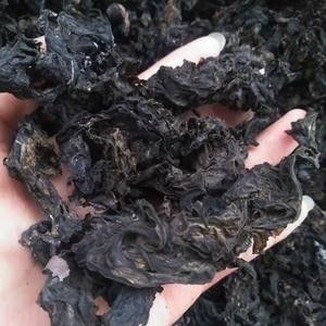 南漳县地皮菜湖北深山过筛精选大片干地皮菜地衣