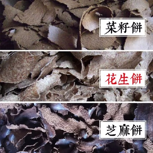 临湘市菜粕  现榨菜油，头道原浆，一次压榨，枯饼香气四溢，种菜钓鱼