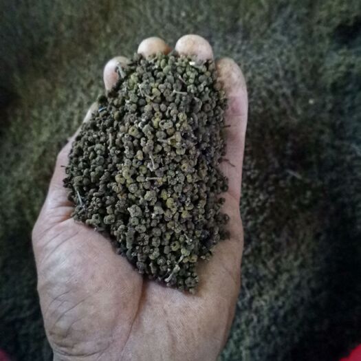 罗城县吴茱萸  产地直销，一手货源，品质保证