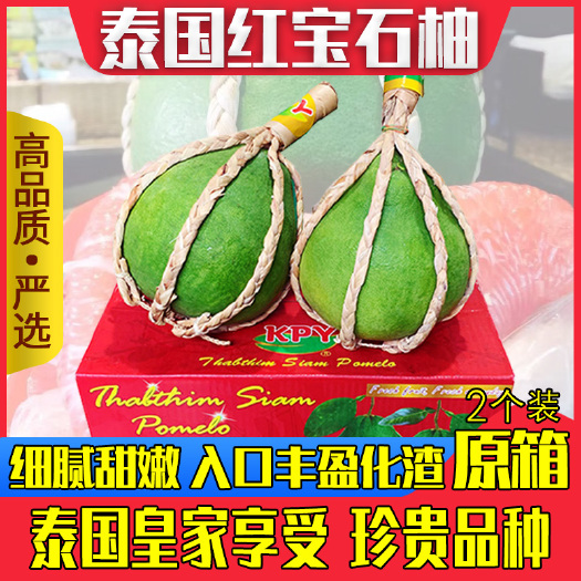 平和县泰国红宝石柚苗  泰国红宝石青柚苗 泰国红宝石柚子苗 泰国红宝石蜜柚苗