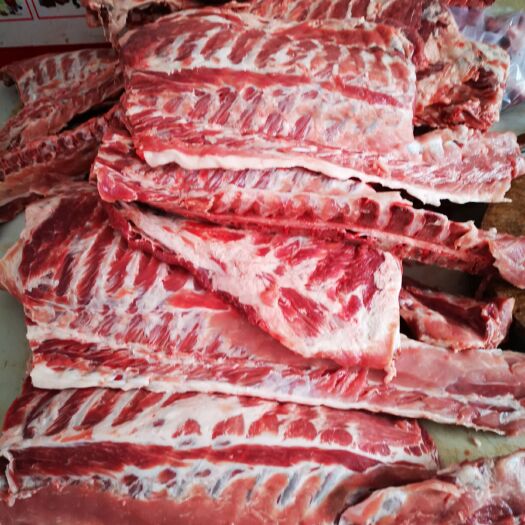 哈尔滨猪肉类 国产肥猪半精排骨