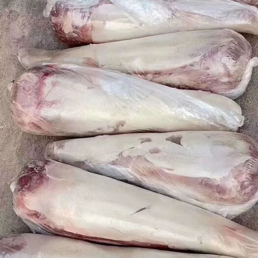 阳信县牛舌 