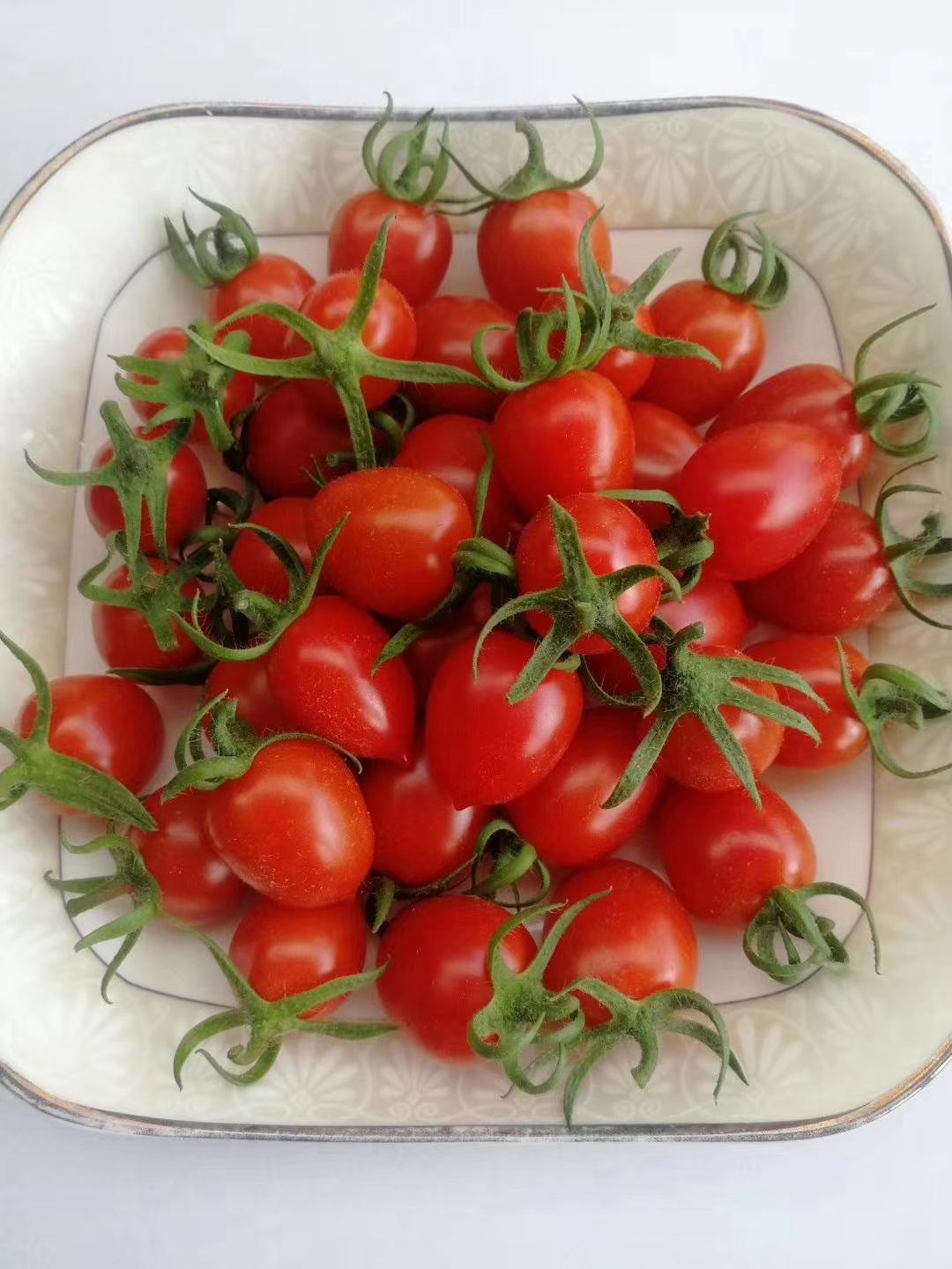 圣女果苗  釜山88小西红柿口感无渣糖度高正品保证直播苗/嫁