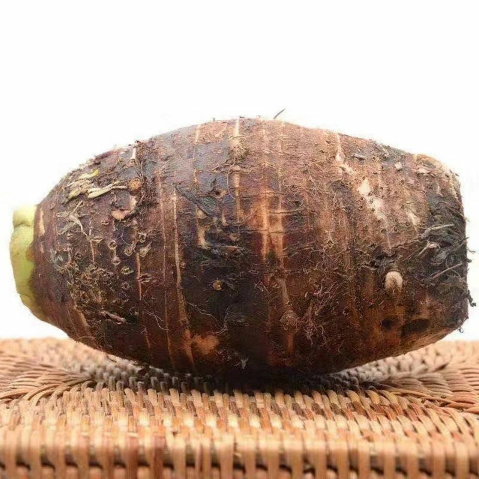 精品槟榔芋