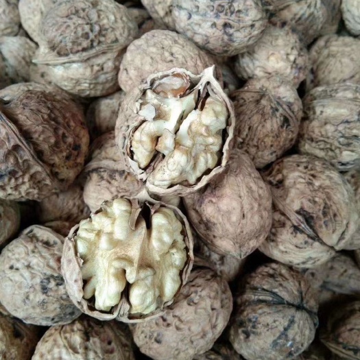 云南麻子核桃 新货 产地直销 质量保证