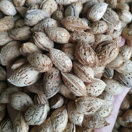 莎车县薄皮原味巴旦木。