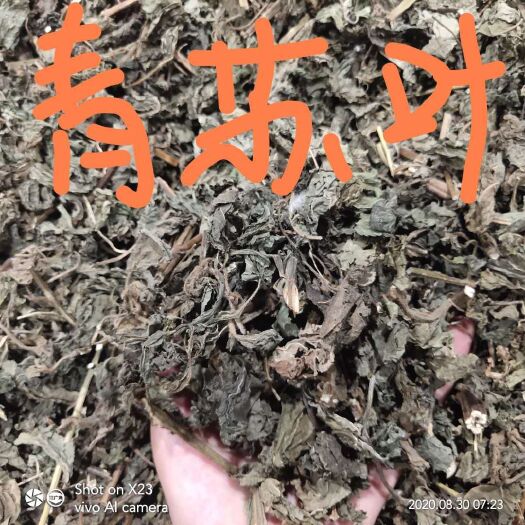 亳州紫苏叶 苏叶