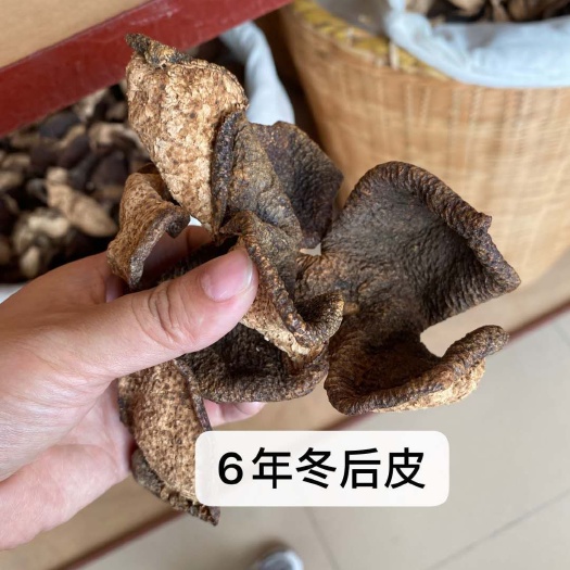 昆明 新会陈皮，片片皆真，美女佳作