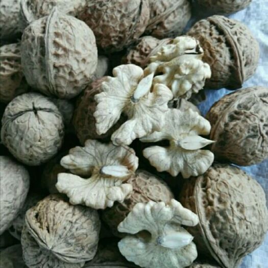 临城县 太行山核桃，去皮薄皮核桃30mm，