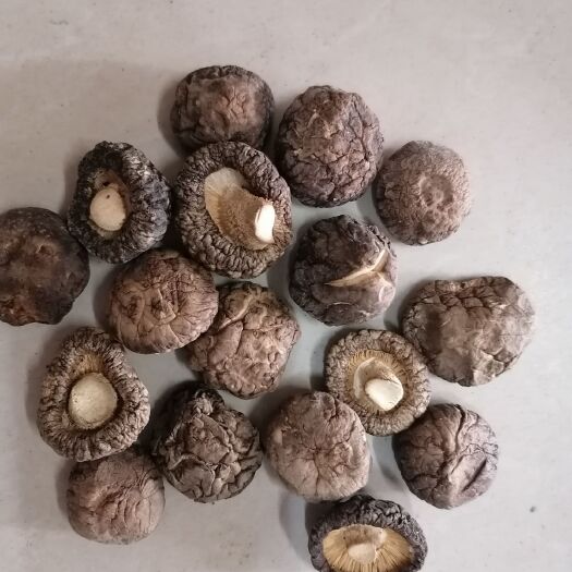 长春原木干香菇  精选手挑冬菇，个圆肉厚