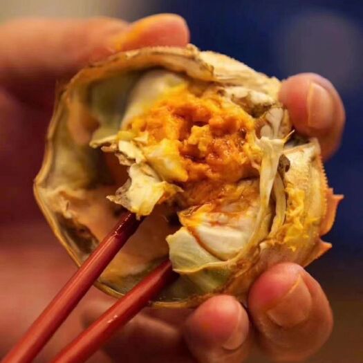 东营黄河口大闸蟹 统货 2.5-3.0两 