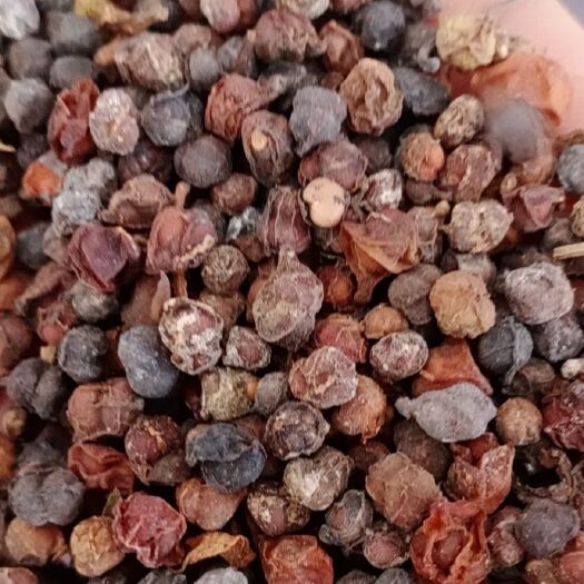 潼关县中药材山药