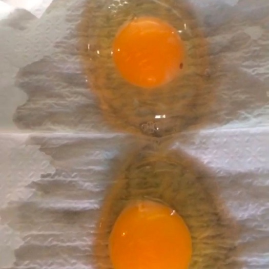 广州 粉蛋30－45长期有拱应