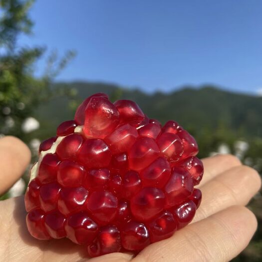 西昌市花皮石榴 花皮果