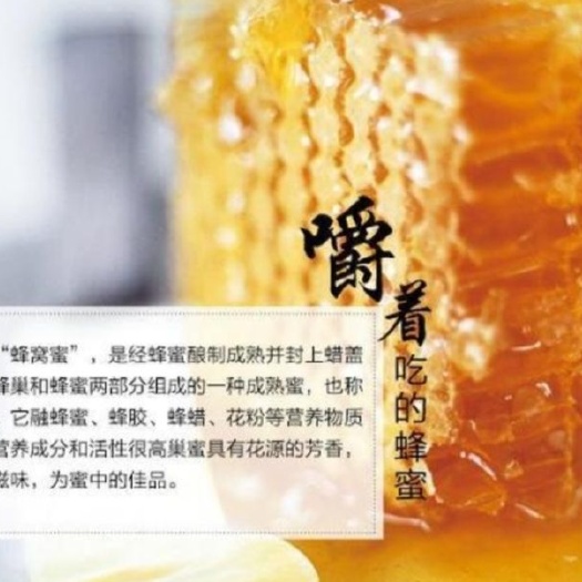 淄博营养滋补品精美盒装嚼着吃的土蜂蜜农家自产蜂巢蜜蜂成熟封盖