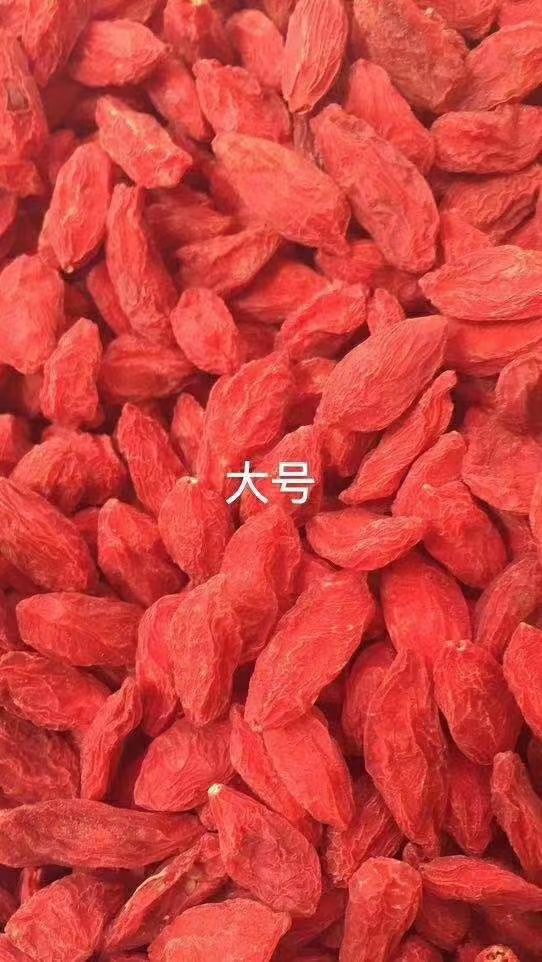 红枸杞  2021新货枸杞宁夏枸杞青海枸杞成色好棵粒大