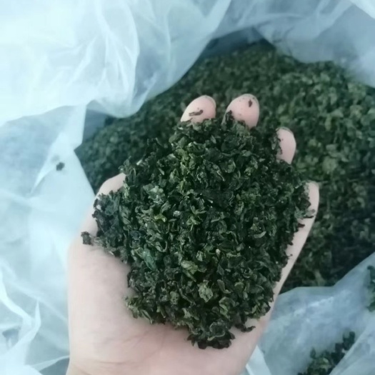 漳州 安溪铁观音金观音早秋新茶