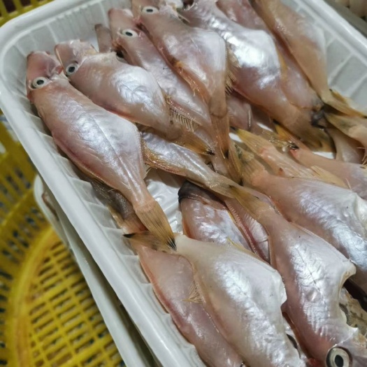 徐闻县剥皮鱼干 小剥皮鱼批发零售